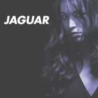 артикул: 20156 Ножницы для стрижки Jaguar Gold Line Diamond Titan Blau. Длина 5.50 дюйма